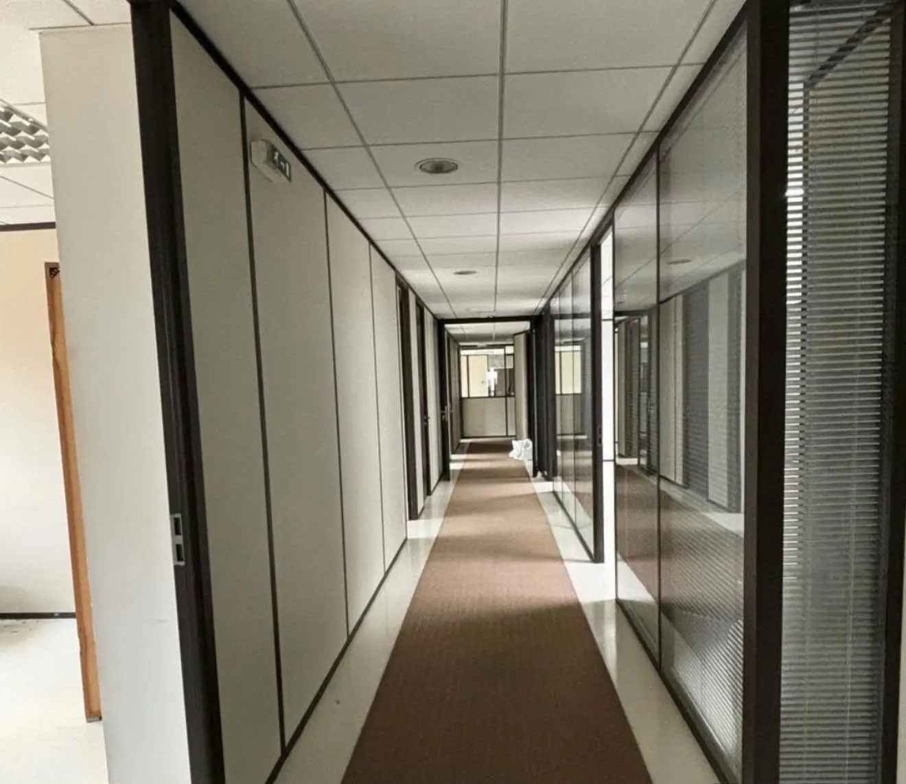 Pasillo de oficinas con techo registrable continuo y downlights integrados en la retícula